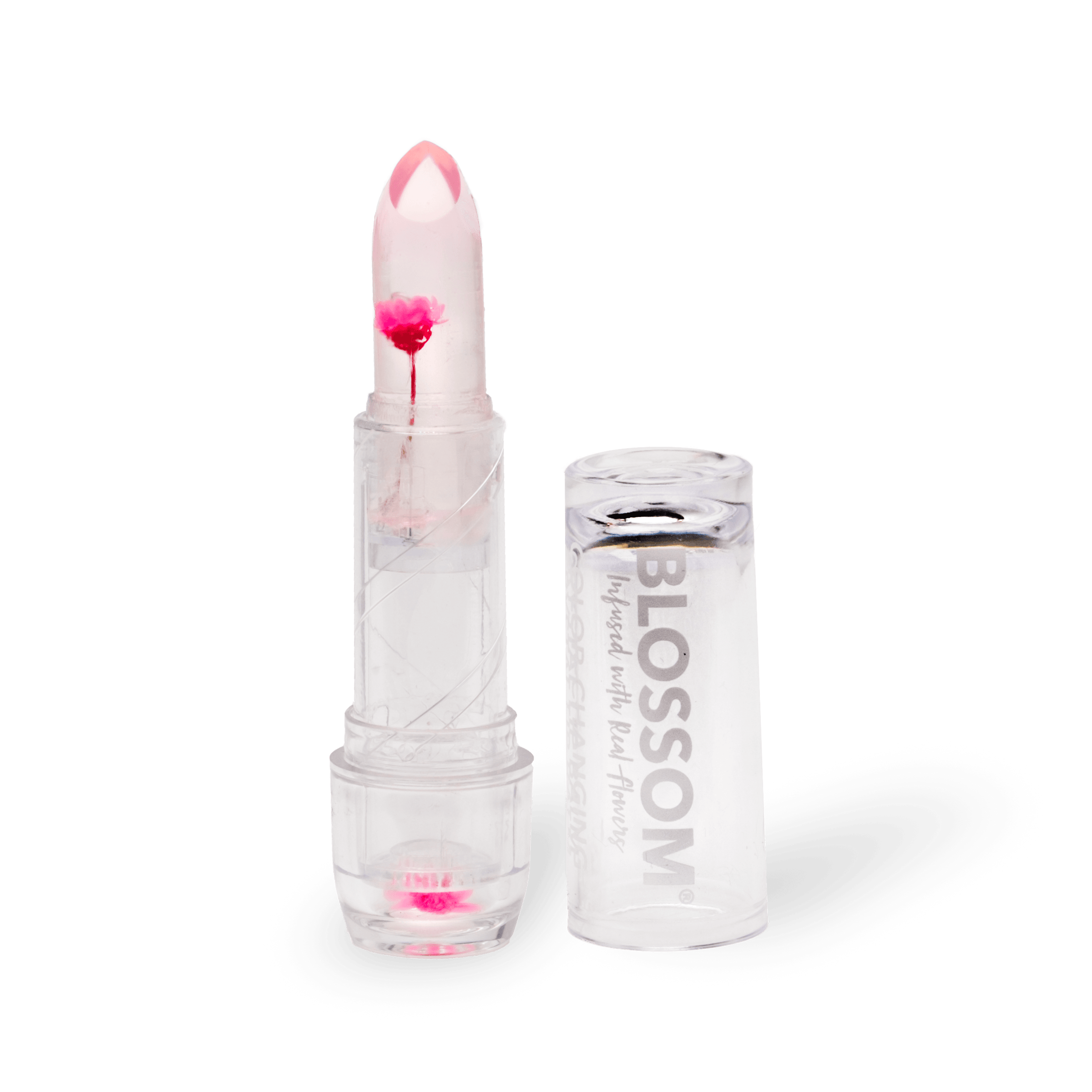 Logo Chapstick